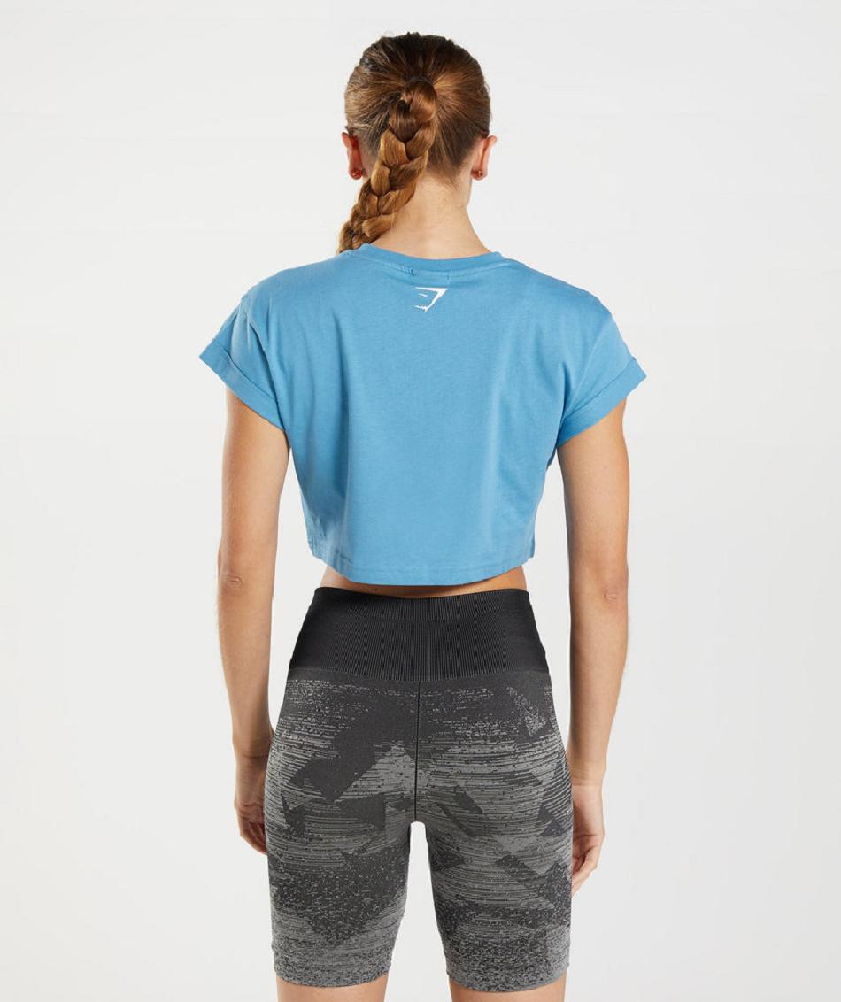 Przycięte Topy Damskie Gymshark Fraction Niebieskie | PL 2652CTV